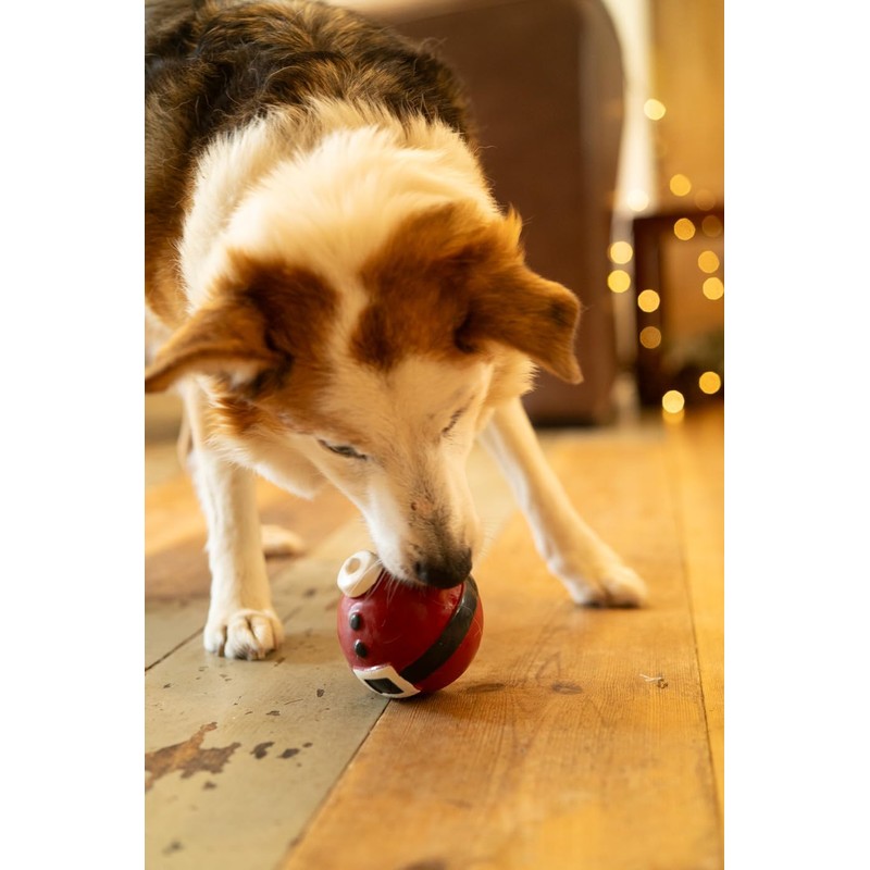 Petface Claus the Bauble, Latex Christmas Dog Toy with Built-In