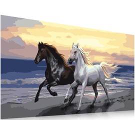 Puosike Paint by Numbers Adult Horse - 30 x 50 cm DIY Animals Painting by Numbers from 7+ Years Teenager Girls Boys (without Border)