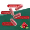 Avitale Cranberry Kapseln 400 mg, 100 Stück, 1er Pack (1