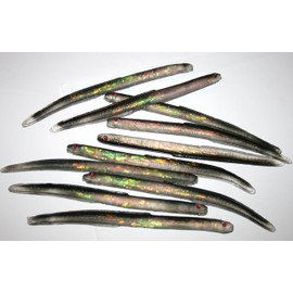 Sidewinder Shimmer Eels 6" 10 per pack