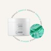 Dr. Renault Reborn Herb Mask Pack 240g Dr. Renault Herb