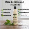 Hydratherma Naturals Moisture Boosting Deep Conditioning Treatment