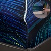 AILONEN Peacock Feather Bedding Set King Size 4Pcs,Golden Blue Feather
