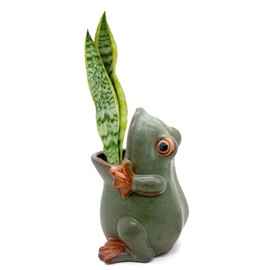 MONMOB 7" Ceramic Frog Shaped Plant Pot/Bonsai Pot/Flower Pot/Succulent Planter/Candy Dish/Pencil Holder Multipurpose Pot Ideal Gifts for Women, Mom or Birthdays