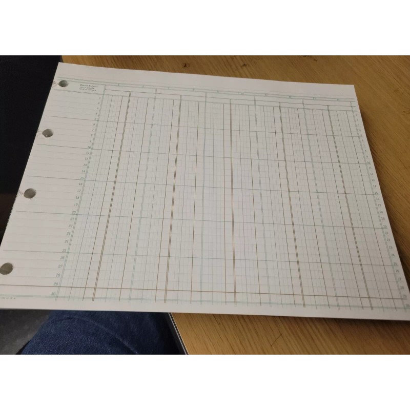 Boorum 100 Sheets Columnar Accounting Sheets 14 Column 9-1/4 x