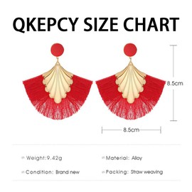 QKEPCY Women's Long Tassel Fan Earrings Tassel Drop Earrings Boho Earrings Metal Hypoallergenic Lightweight Statement Stud Earrings Festival Jewellery for Women and Girls, Stainless Steel