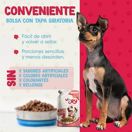 VORY Aderezo Nutritivo para Croquetas de Perros - Aceite de Pescado y Probóticos - Suplemento con Vitaminas y Omega 3 - Sabor 6X Salmon para Todas Las Razas - Sobres de 120ml