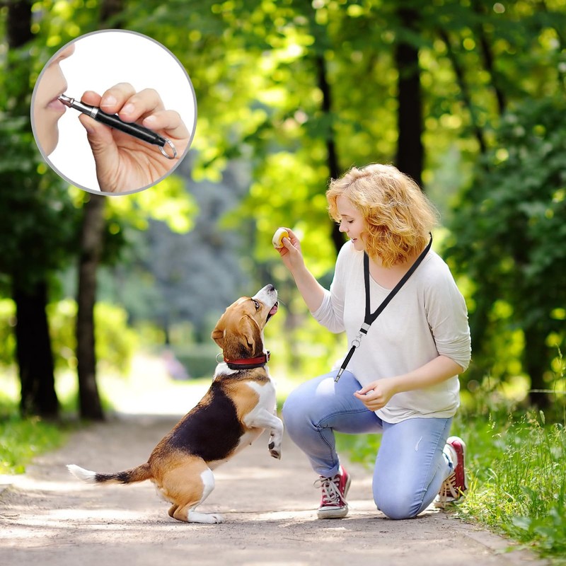 YANINEE Pack of 2 Whistles Dog Whistle Rütter Recall High