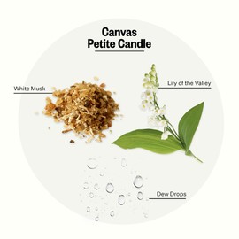 APOTHEKE Apotheke Luxury Scented Candles for Home, Canvas - Petite Aromatherapy Jar Candle with Soy Wax Blend