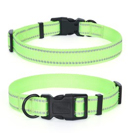Mile High Life | Nylon Night Light Glow Collar for Medium Dogs | Reflective Band Cat Collar | Fluorescence self-Luminescence Strap Puppy Collar | Safe Night Walk Collars for Dogs (Lime, XS)
