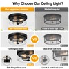 Flush Mount Ceiling Light Fixtures, 2-Light Black and Silver Ceiling