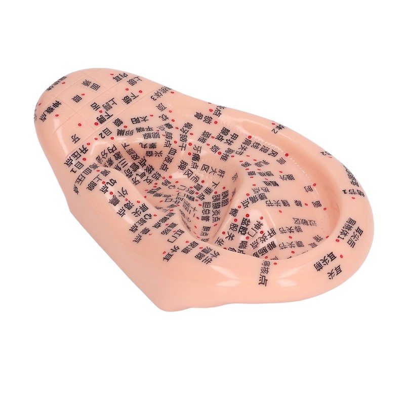 6.7in Ear Acupuncture Model Silicone Engraving Ear Massage Acupuncture Model