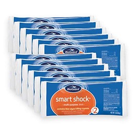 BioGuard Smart Shock 1 lb, Pack of 12, Algae Preventative, Swimming Pool Clarifier, Pool Shock Treatment, Multi-Purpose Shock for Pool Maintenance