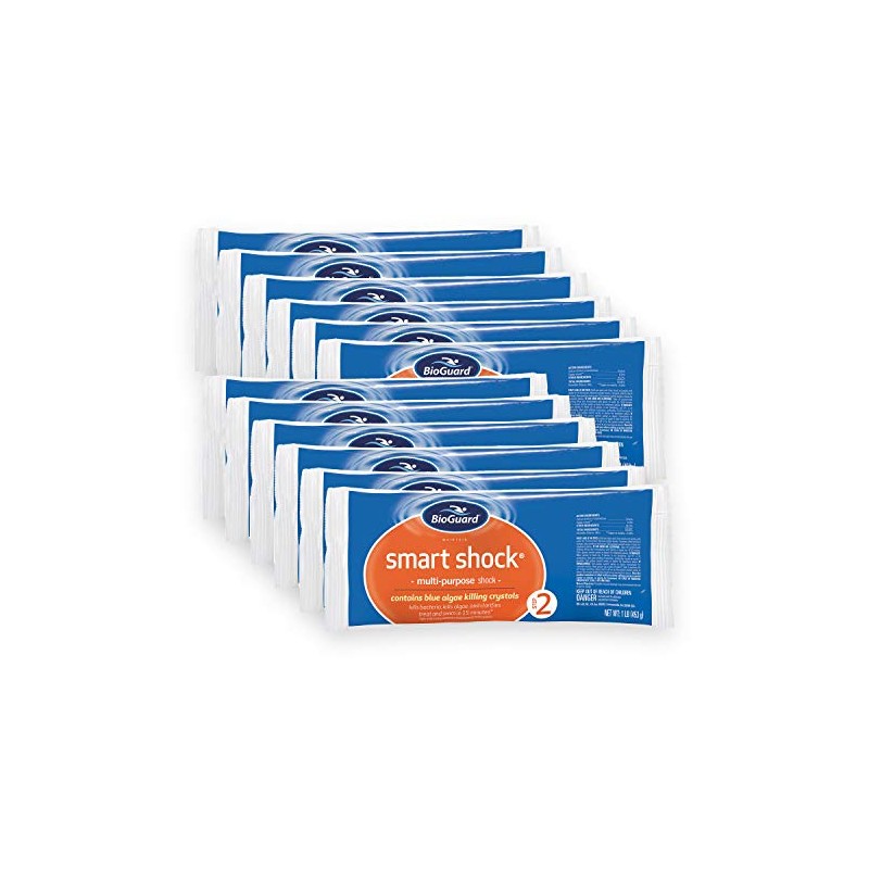 BioGuard Smart Shock 1 lb, Pack of 12, Algae Preventative,