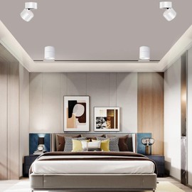 LED Ceiling Spotlight Indoor Dimmable - Tuya Smart Life 360° Adjustable 12W COB Ceiling Downlight Aluminum Hard Wired For Bedrooms Rooms Corridors Painting Background Walls (White, A (4.02"*3.94"))