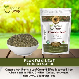 Organic Way Plantain Leaf Cut and Sifted | European Wild-Harvest | Organic & Kosher Certified | Non GMO & USDA Certified | Origin - Albania (1/4 lbs 4 Oz)