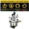 Huayi P19-1 Carburetor carb Compatible with Ruixing 127 Engine Generator