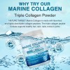 Colageno Hidrolizado Marino Vitamina C Probioticos