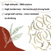 LWXLJMJZC-2.8oz/80g Silver Needle White Tea | Chinese Silver Tips Loose