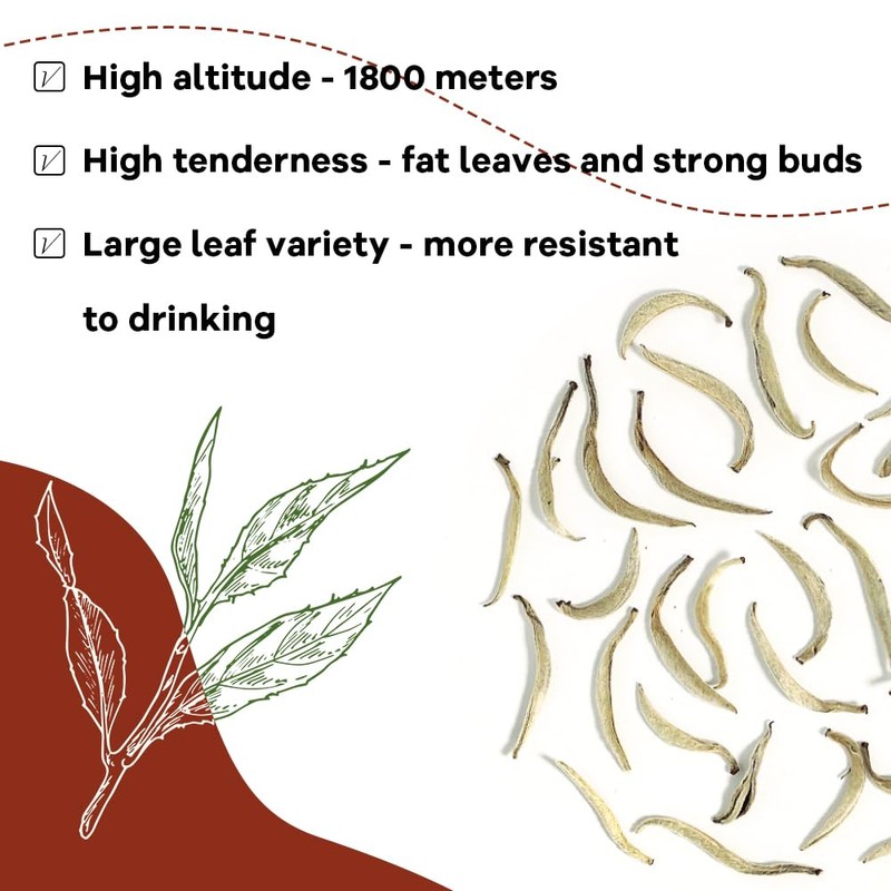 LWXLJMJZC-2.8oz/80g Silver Needle White Tea | Chinese Silver Tips Loose