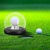 TOLIDA Golf Ball Display Case, Dustproof Golf Ball Racks with