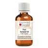Greenwood Essential Pure Horsetail Oil (Equisetum arvense) Cold Pressed 10ml