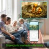 Bird House with WiFi Camera Solar Powered for Wireless Outdoors,