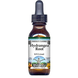 Hydrangea Root Glycerite Liquid Extract (1:5) - Chocolate Flavored (1 oz, ZIN: 522605) - 3 Pack