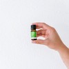 ECO. Modern Essentials Eucalyptus Pure Essential Oil, 10ml