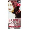Man with Flowers Clinic Color R6 Cherry Red / 꽃을든남자 클리닉칼라 R6 체리레드