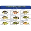 Express Yourself Sunfish Family Ident-I-Card - Freshwater Fish Identification Card