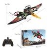 jaming RC Plane,2.4Ghz Remote Control Dragon Airplane RTF Foam Planes