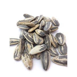Salt and Balsamic Vinegar Flavored Sunflower Seeds - Seasoned and Roasted in Shell for a Bold Taste - 8 oz.