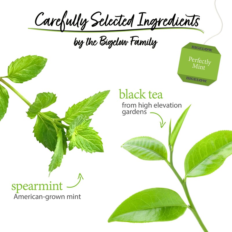 Bigelow Tea Perfectly Mint Black Tea, Caffeinated with Spearmint, 20