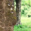 Relaxdays Tree Face 4-Piece Tree Trunk Decoration, for Hanging, Tree