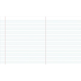 iScholar Grade 3 Primary Composition Book, 7.5 x 9.75 Inches, 80 Sheets, Skip Line Ruling, Blue Marble (10030)