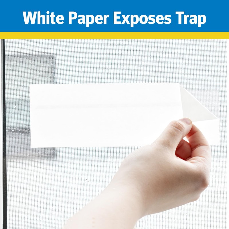 Raid Window Fly Trap (12 Pack)