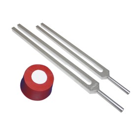 Radical Professional D 288Hz & A 426.7Hz Chakra Tuning Forks Healing Therapy with Activator
