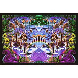 Studio B Octopus Garden Blacklight Poster by Richard Biffle 36 x 24in