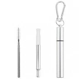 Foweroty Metal Straws Reusable，Collapsible Stainless Steel Straw，Cruise Ship Essentials，Equipped with Silicone Straw Tip，Cleaning Brush and Keychain，Easy to Carry and Clean（Silver）