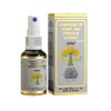 Wax Green Spray Propolis with Honey Glycolic Extract-Non Alcoholic Wax