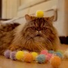 Rimobul 40PCS 1.5INCH New Generation Extra Large Cat's Favorite Chase