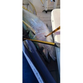 AHI 10/0 SS Tandem Trailer Hook Rig 800lb Wire Big Fish Game Trolling Lures