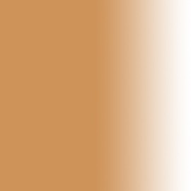 Dinair Airbrush Makeup Foundation | Light Golden Beige 0.25 oz | Camouflage Neutralizer - Covers Scars, Acne, Tattoos, Vitiligo, Under Eye circles, Sun Spots