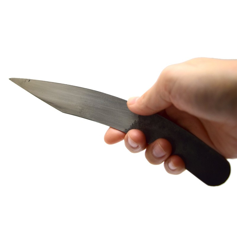 高儀 村国 接木 Cutting