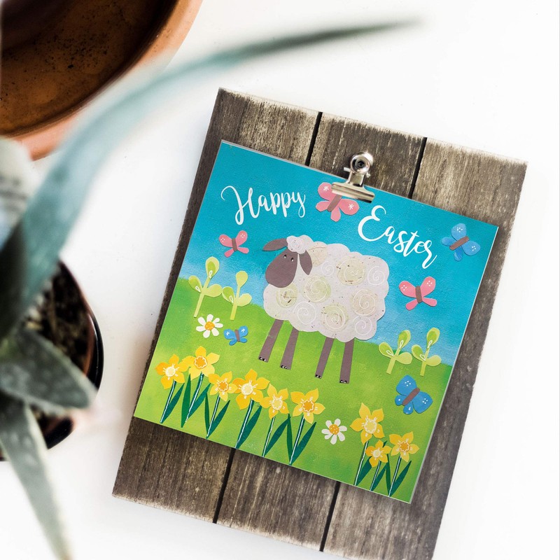 Religious Easter Cards - Easter Sheep, pack of 5 cards