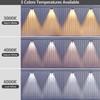 Brizled 12 Pack Solar Fence Lights Outdoor, 300/4000/6000K 3 Modes
