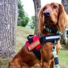J.CARP 10 Pieces Service Dog Patches Don't Pet in Training