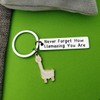 Llama Keychain Llama Gift Never Forget How Llamazing You are