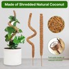 48 Inch Bendable Moss Pole for Plants Monstera, Coir Plant